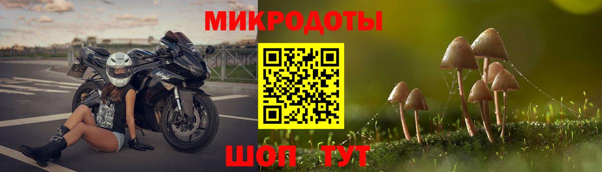 Вязьма  Галлюциногенные грибы Psilocybe  Вход с VPN  Псилоцибиновые грибы GOLDEN TEACHER 